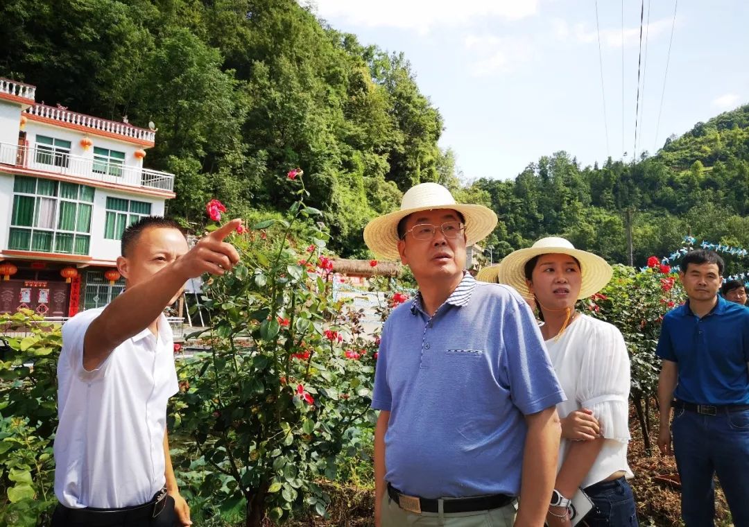 邹俊杰在汉滨区田心社区调研督导脱贫攻坚工作