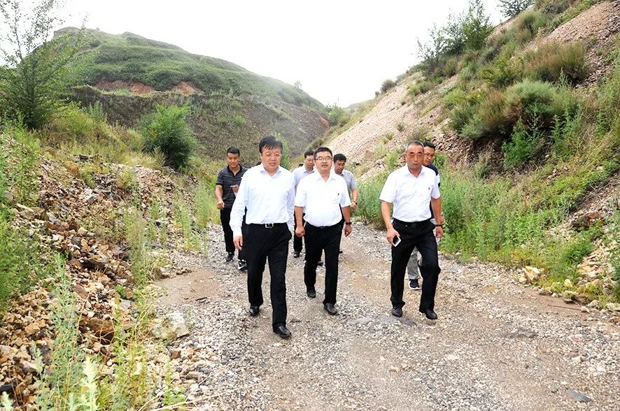 7月10日下午,区委书记张聪到庞家堡镇调研文化旅游和矿山整治工作,并