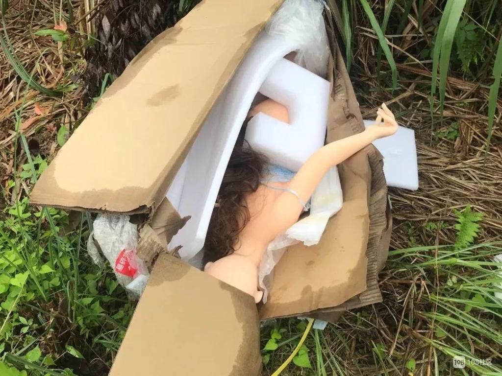 瓷都乡村路边惊现女尸?法医打开纸箱后发现惊人一幕