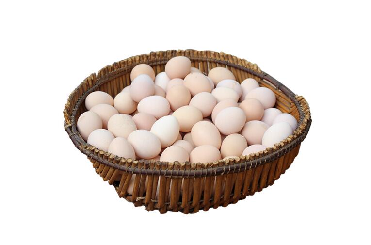 误区二:黄壳鸡蛋比白壳鸡蛋好总的来说,土鸡蛋和各种"概念蛋"在营养上
