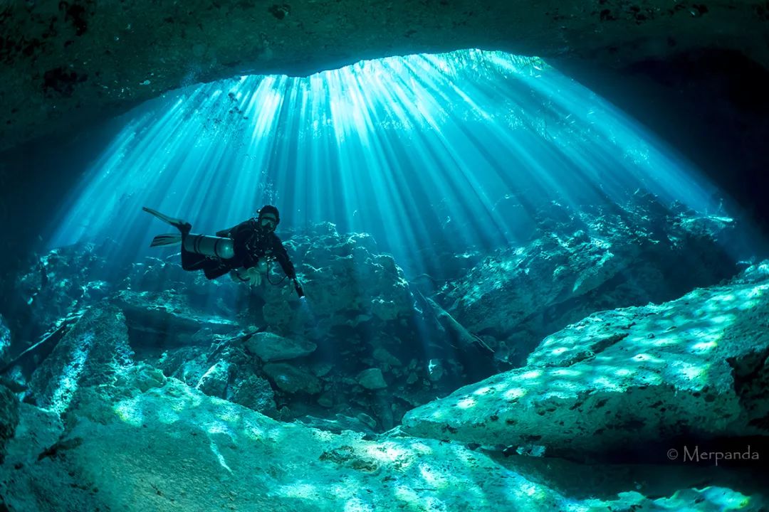 【招募】2020年春节墨西哥坎昆精彩行程——洞潜,牛鲨,旗鱼!_潜水