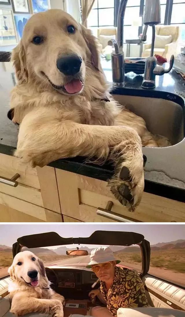 沙雕网友魔性p图简直太优秀了哈哈哈哈