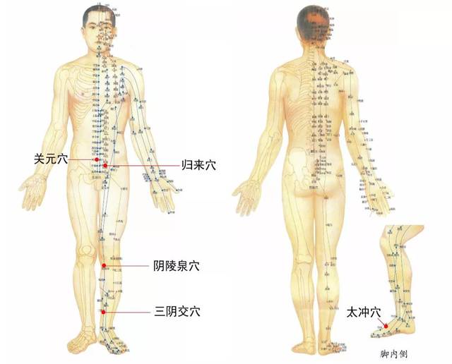 月经脉在哪个位置图图片