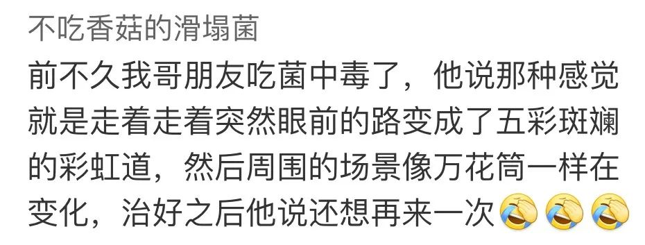 吃菌中毒後看到的小人究竟長啥樣看看雲南人獨特的可怕體驗