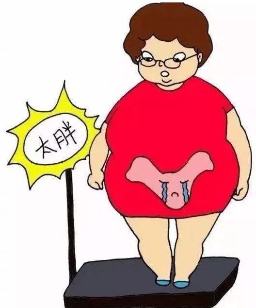 胎儿不断增大,胎头慢慢下降进入骨盆,卵巢分泌出一种叫"松弛素"的物质