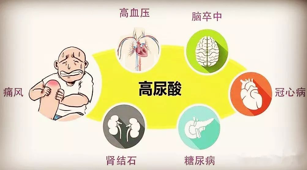 高尿酸血症病人如何饮食管理