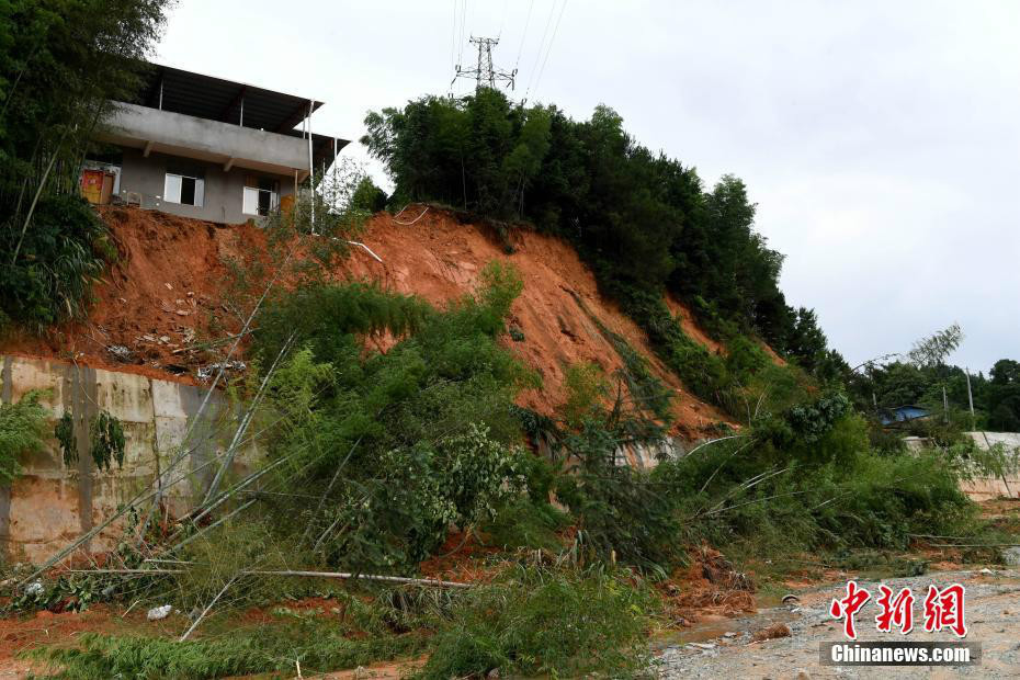 强降雨致福建浦城多地发生山体滑坡