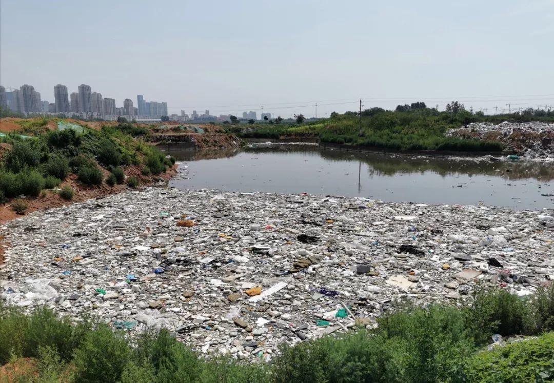 风河下游有个垃圾场苍蝇飞舞异味令人作呕