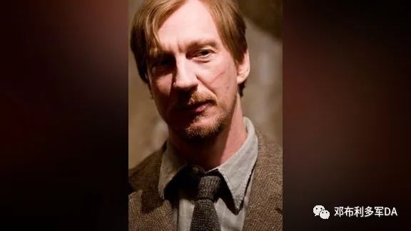 莱姆斯卢平终极测试