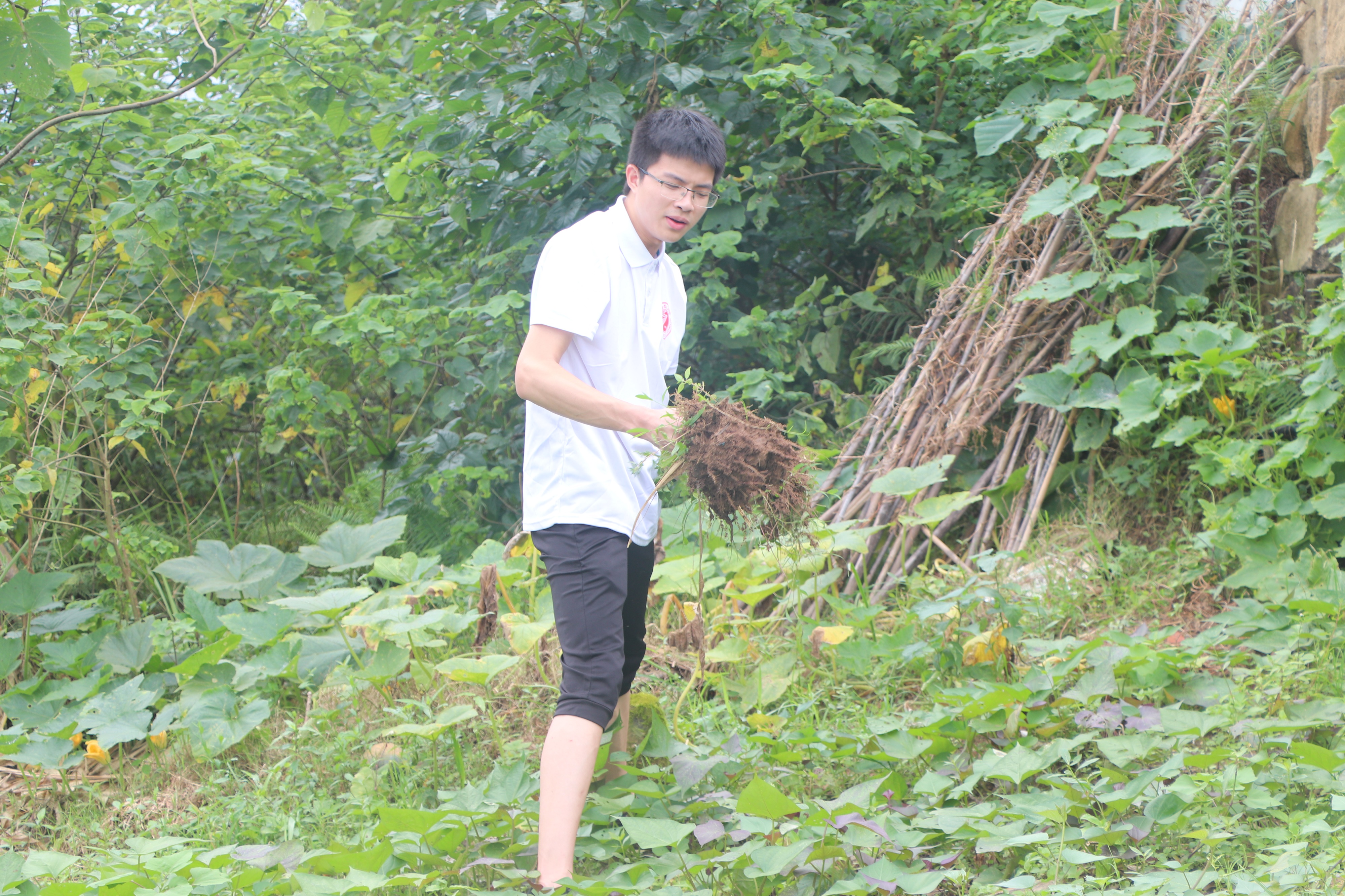 00后大学生体验农活,传递青春正能量