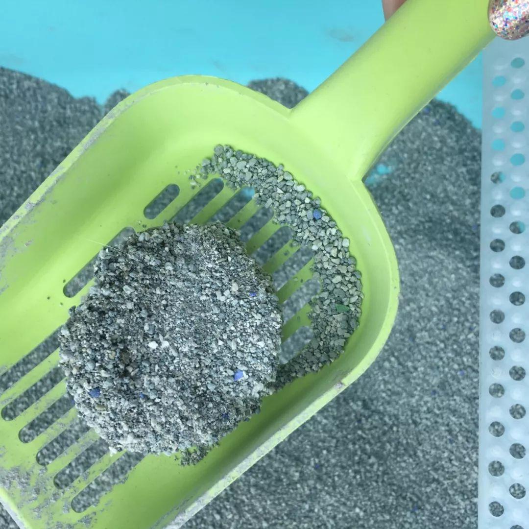 裹住猫咪粪便的膨润土猫砂属于什么垃圾everclean蓝钻科普