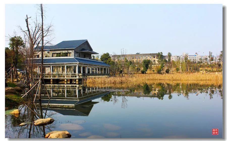 金芙蓉国际广场愿与你共赏四季好光景