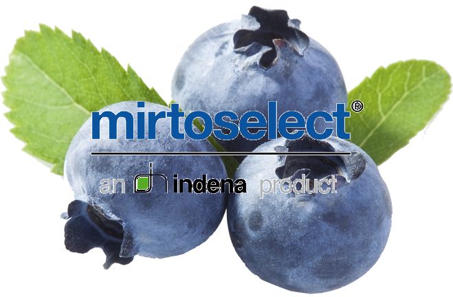 mirtoselect03北欧野生蓝莓精华01专业护眼成分推荐除了养成科学的