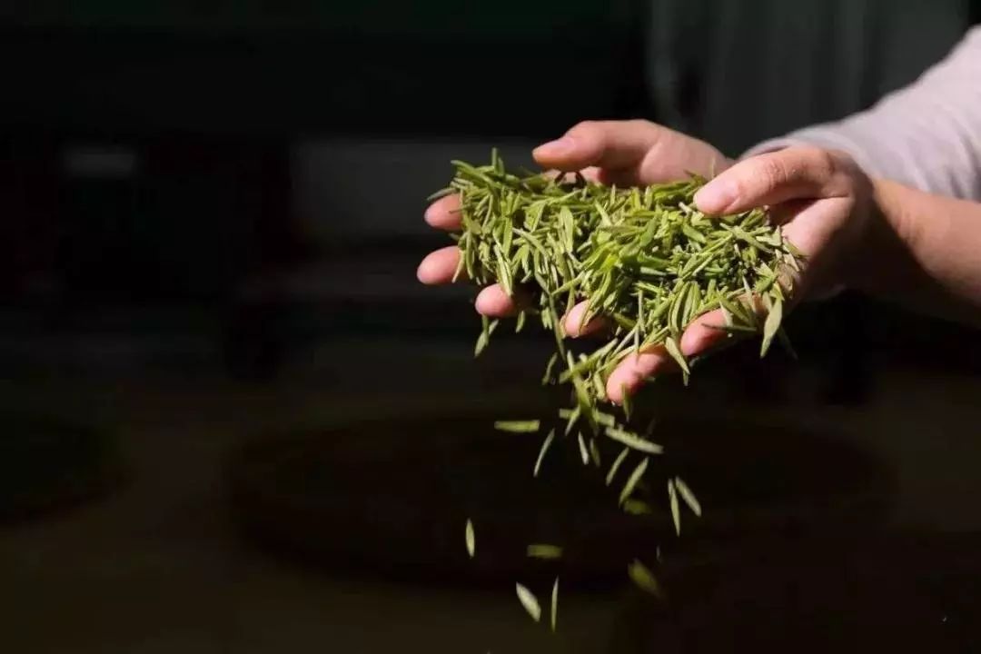 【走近畲乡】深山藏茶名曰——惠明_茶叶