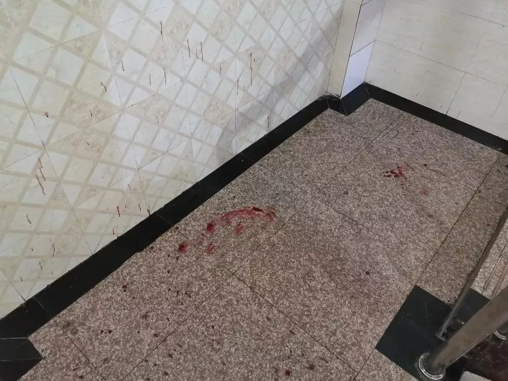 残忍血腥镇江第一楼街一男子虐杀母猫网友这个猫才生了一窝小猫