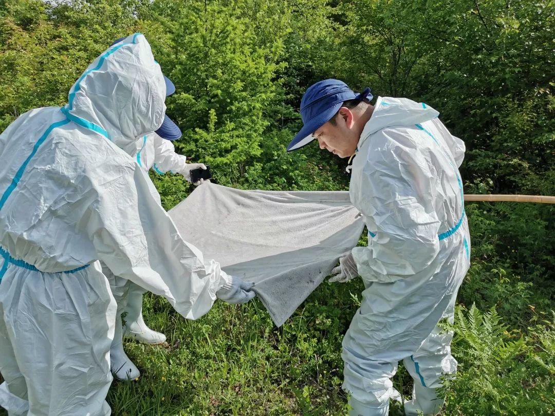 穿梭在边境线的白衣人