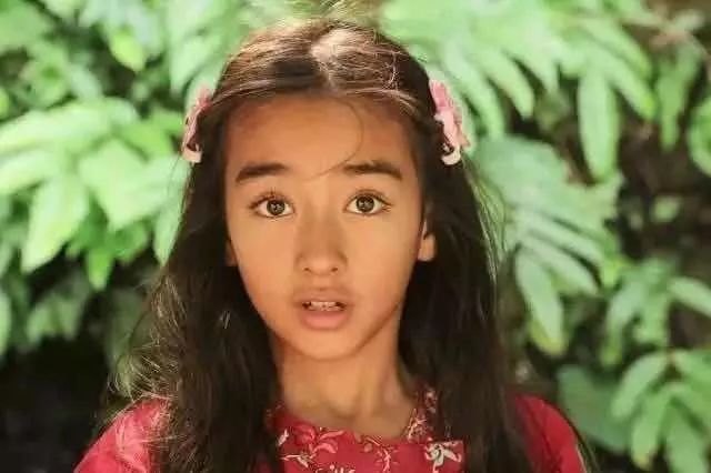 成龙周迅为她发声这个女人花19年重造6666亩雨林惊动