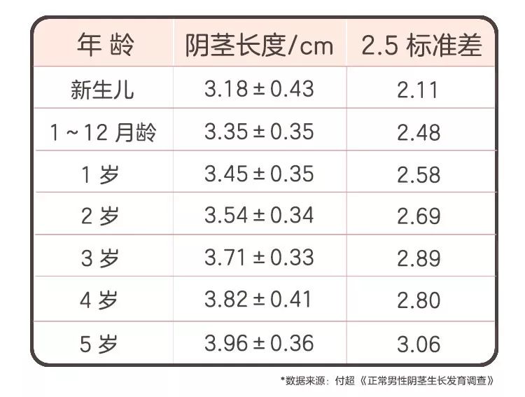 蛋蛋个人资料简介年龄图片