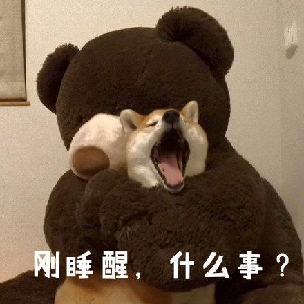 柴犬表情包