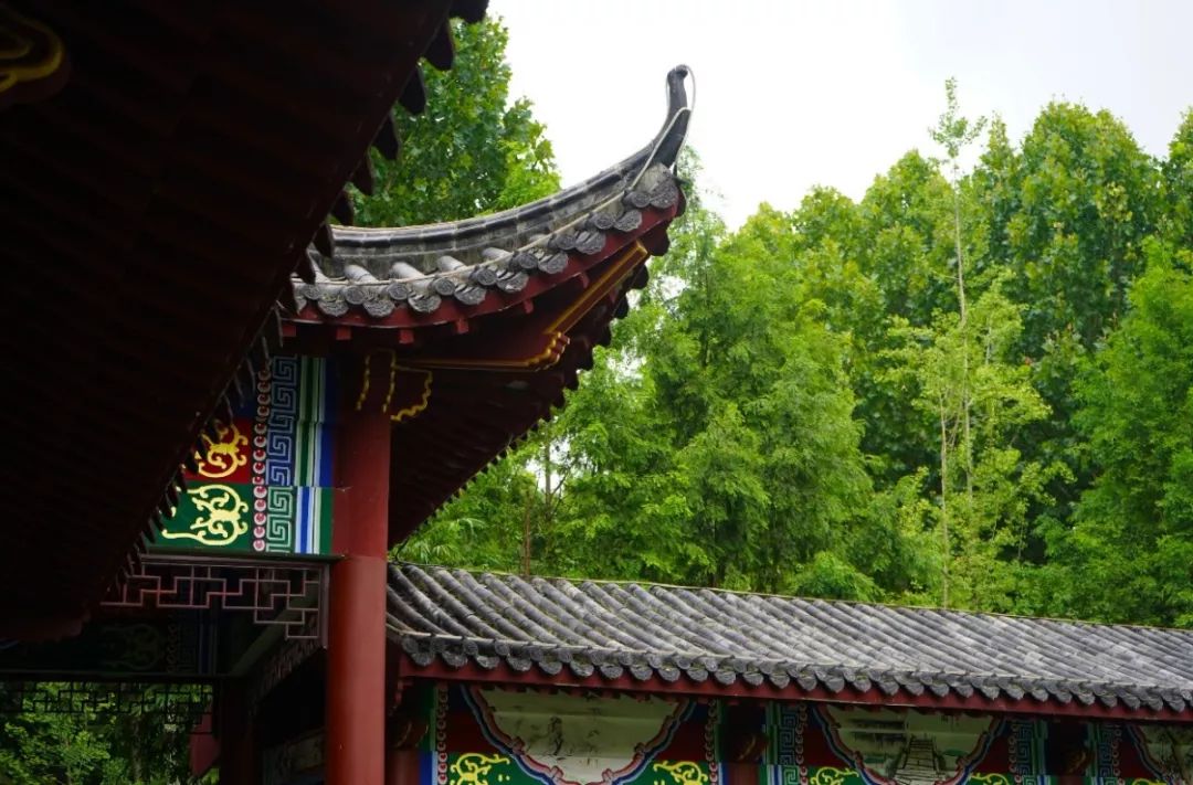 武生院喊你来换头像啦