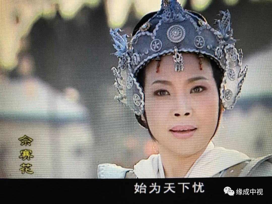 《戏曲数字影像导演人才培养》上的讲座和《佘赛花》的观影心得!