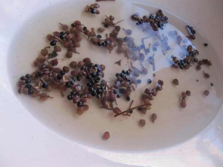 在床底放一把花椒真是厉害了好多孝感人都没发现