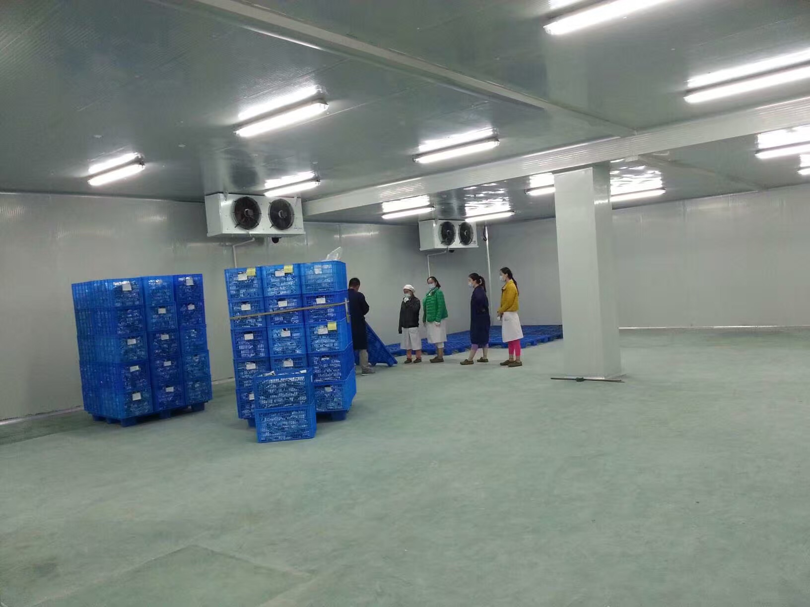 海鲜冷库全套报价需要多少钱