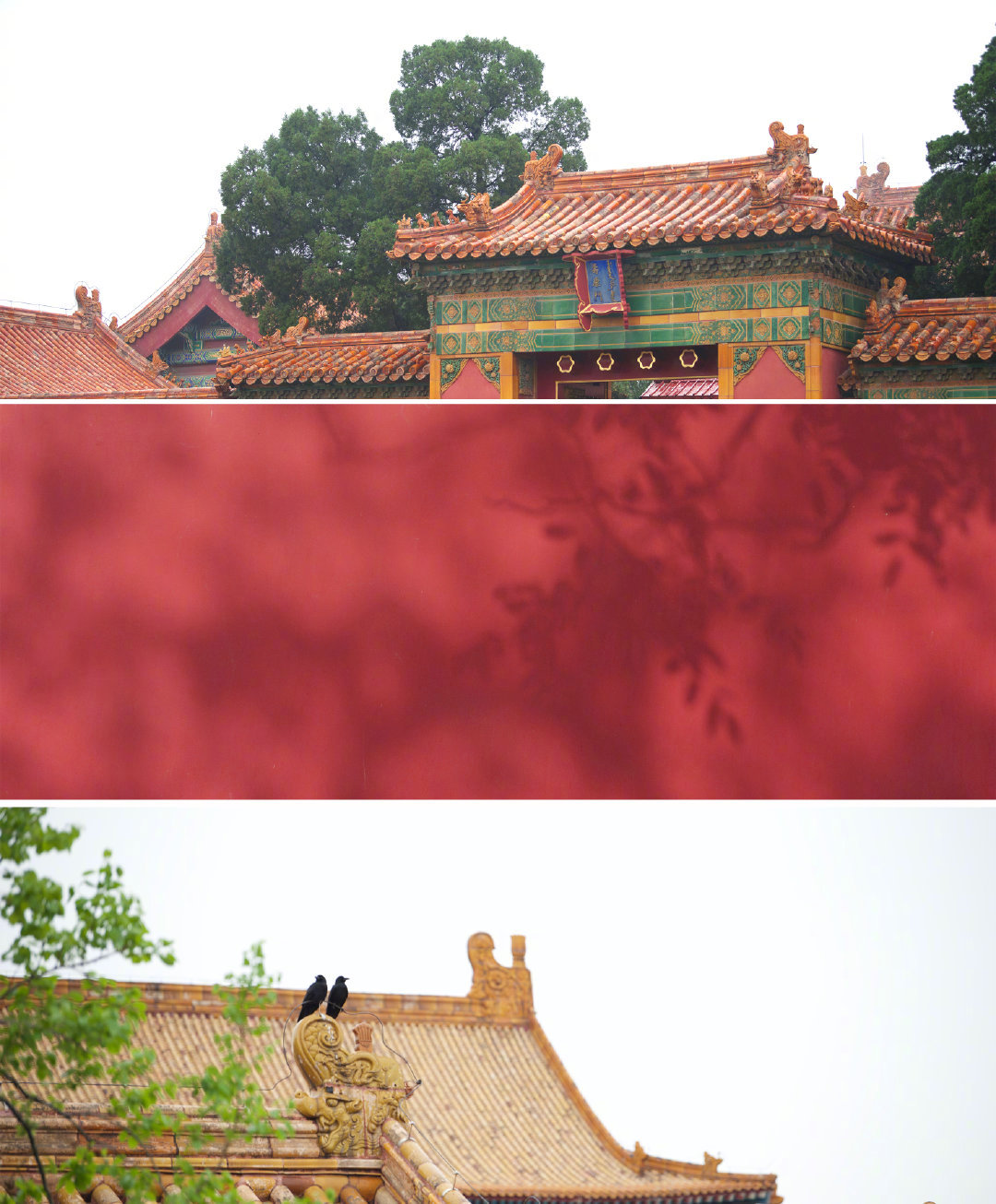 单霁翔:名牌大学硕士以上才有机会】7月10日,故宫博物院故宫学院院长