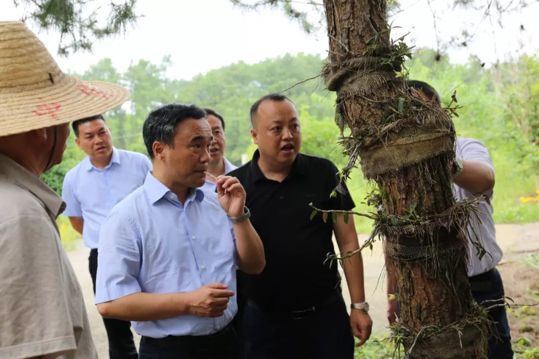 省纪委常务副书记,省监委副主任黄文胜到松桃调研