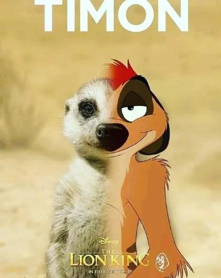 狮子王荣耀归来原来这些地方可以看见真实的辛巴