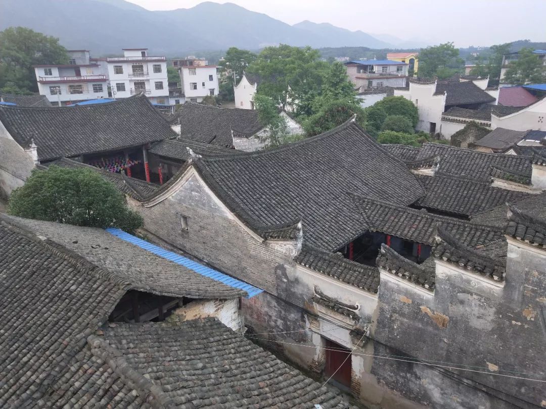 古井与梅塘是村里最美的景观哪村祠堂的水能有梅溪公祠的水如此清澈吗