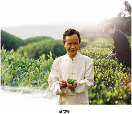 教授级高级农艺师,中国制茶大师,就是这样一个用福鼎白茶改变自己