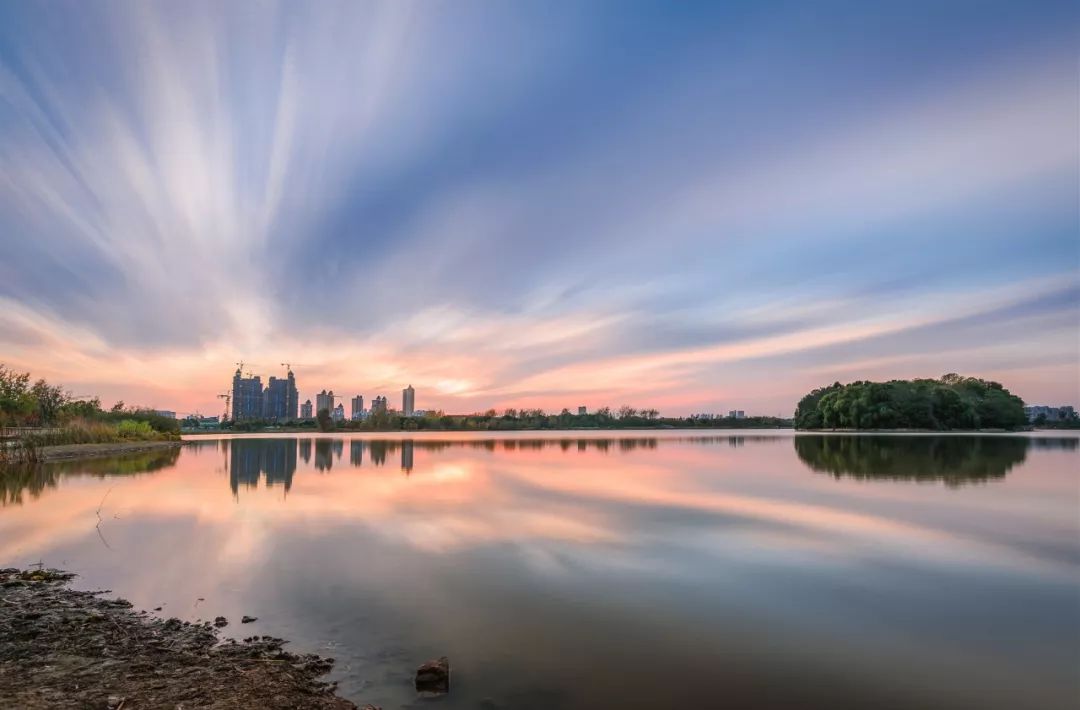 南豔湖公園實景圖蘆葦飄搖,白鷺低飛.水的中央,一方綠島,鬱郁蒼蒼.