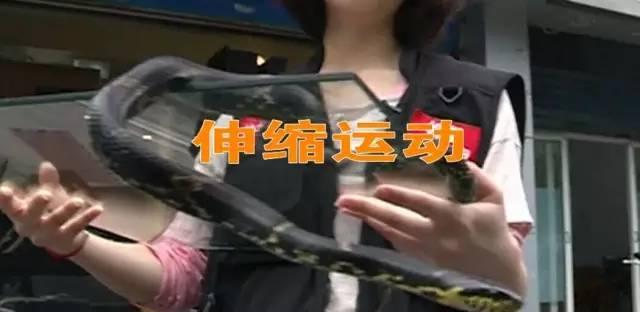 被蛇咬了不要用手去抓因为你不行