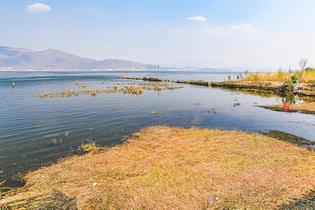 在《心花路放》取景地,体验白族生活,欣赏绝美湿地,寻找诗和远方