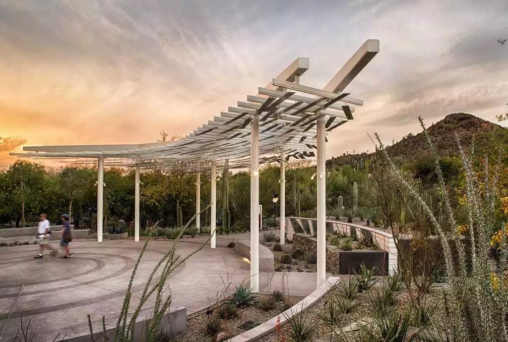 请看,廊架的戏剧性表演!