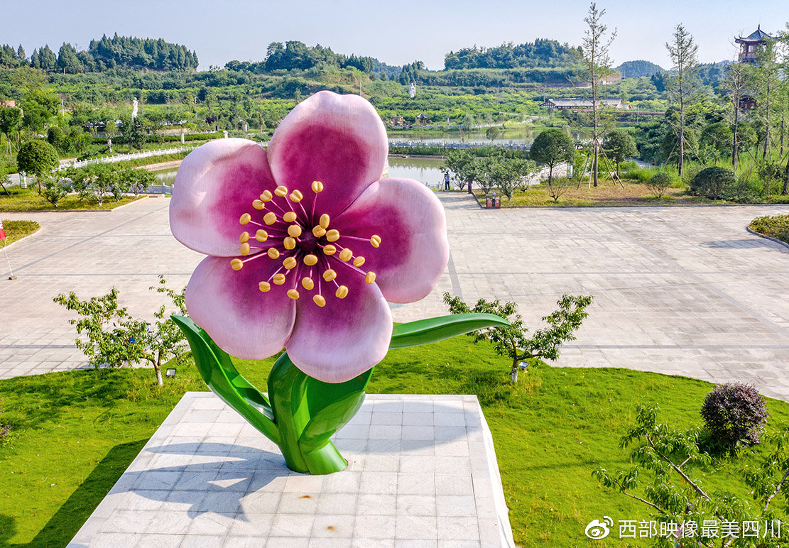 四川西充古楼镇桃博园图片