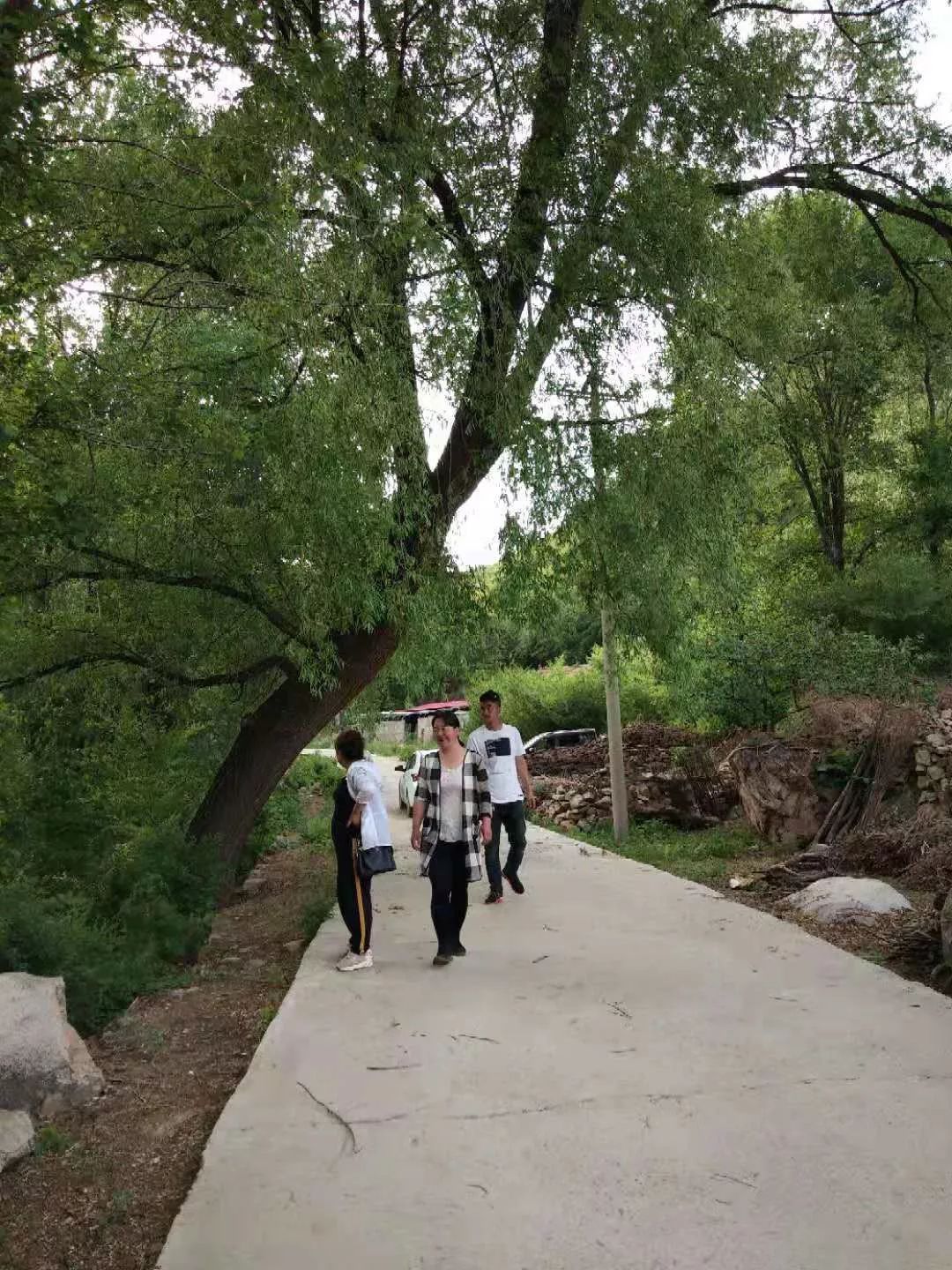 大黑沟村.梁后村.三道湾村.荒地村.金沟屯镇第二大街—滦河沿街.