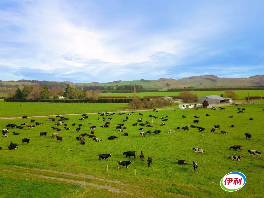 这一切,都在「参观伊利」升级为「成长发现之旅」后得以展现.