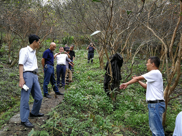 市自然资源和规划局副局长丁丽惠和市县相关职能科室人员参加了调研