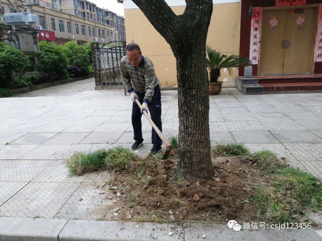 党员先锋| 社区党员梁家荣 化身社区"美容师"