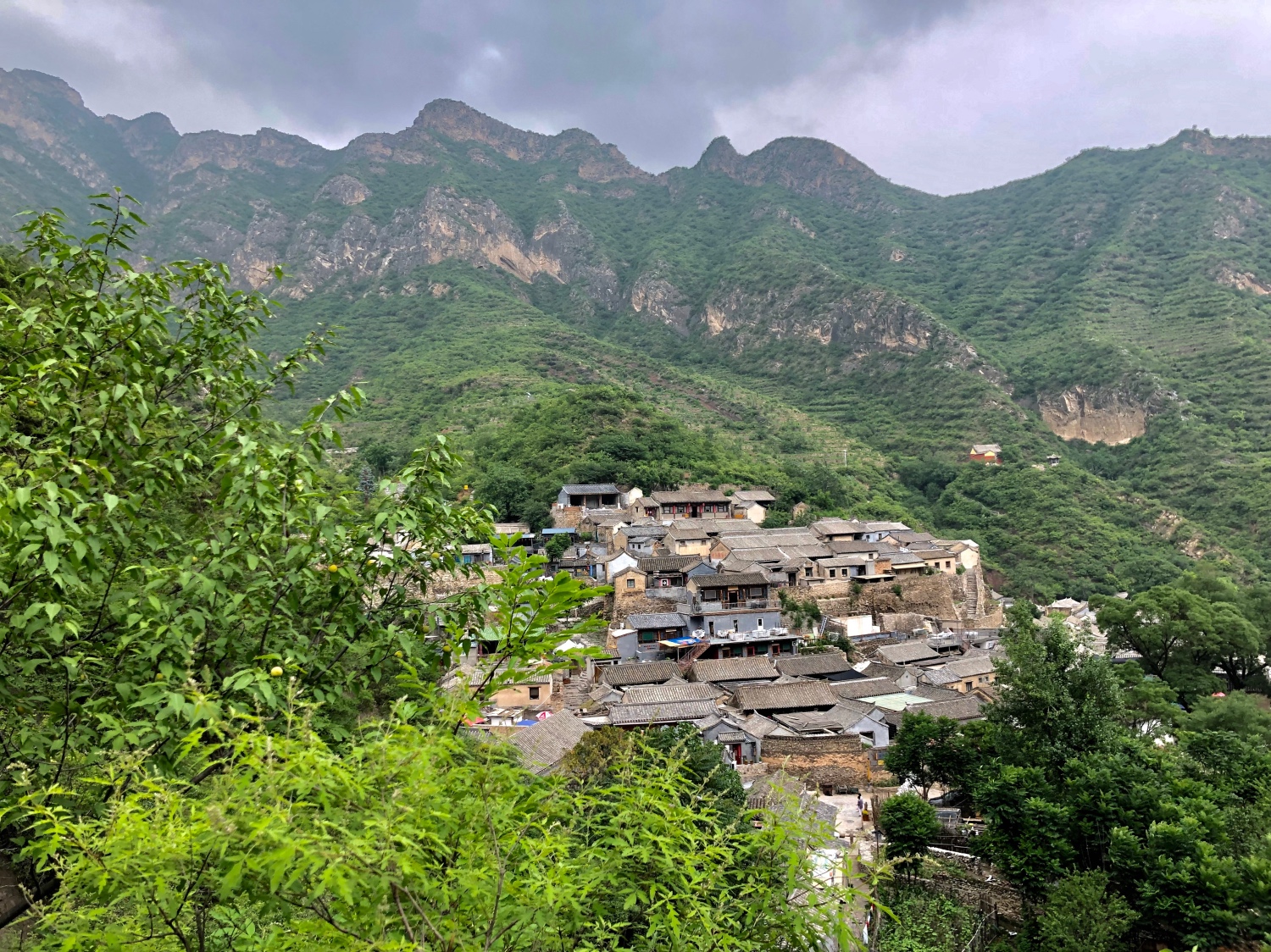 斋堂红杏采摘节在门头沟区斋堂镇成功举办