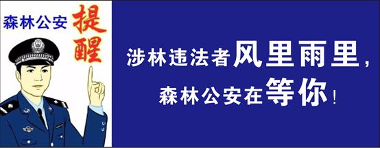 森林公安标志图片大全图片