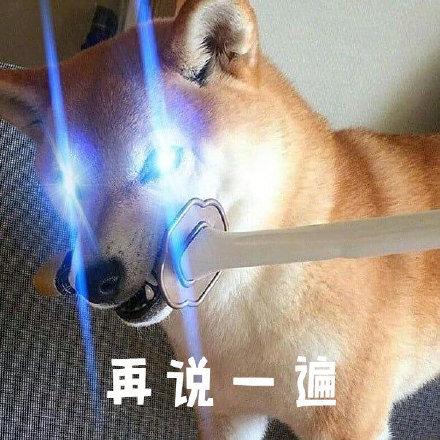 柴犬表情包真叫狗头大