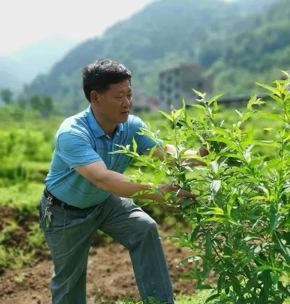 【脱贫攻坚群英谱】范义勇:两条泥腿踏千村 一片初心满万仓_沿河