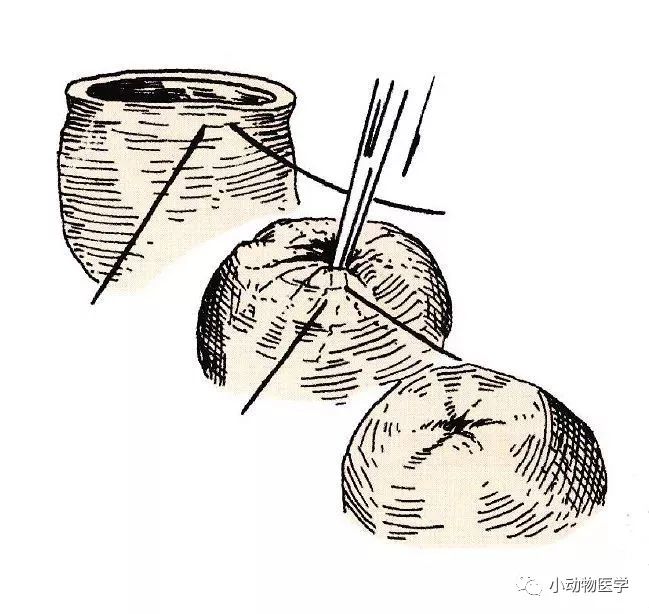 宠医常用的13种外科缝合方法