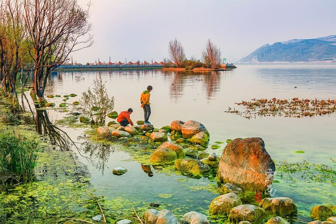 在《心花路放》取景地,体验白族生活,欣赏绝美湿地,寻找诗和远方