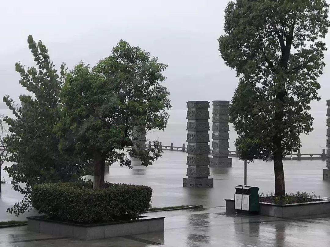 星子天气天气大全