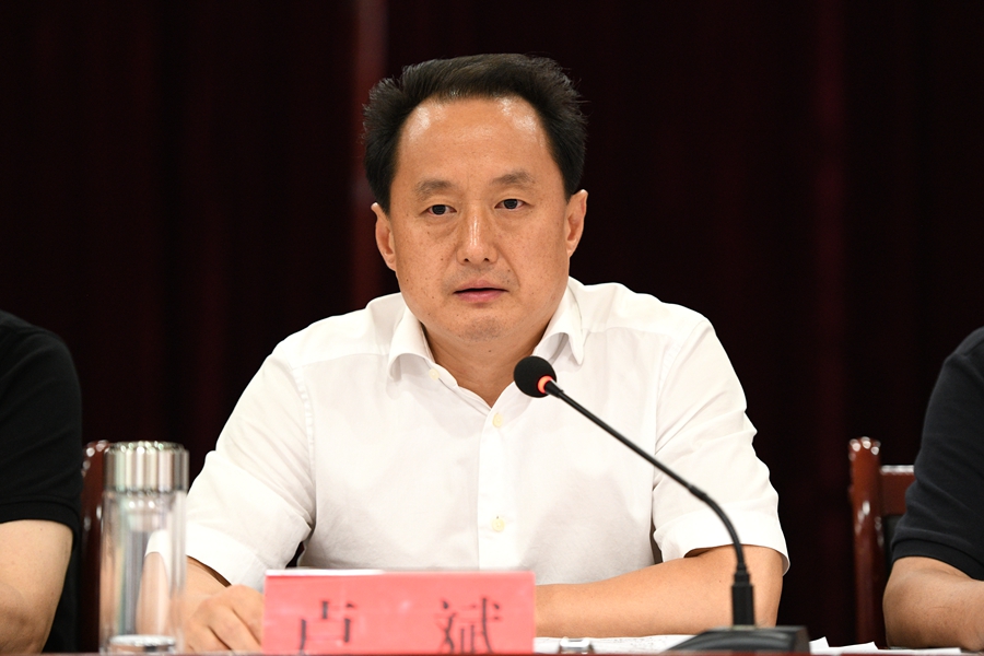 区委书记卢斌讲话.区委副
