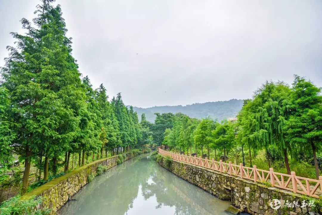 吴才平要求龙溪拉高标杆找准定位激发美丽建设动能